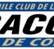 COMITE DIRECTEUR 